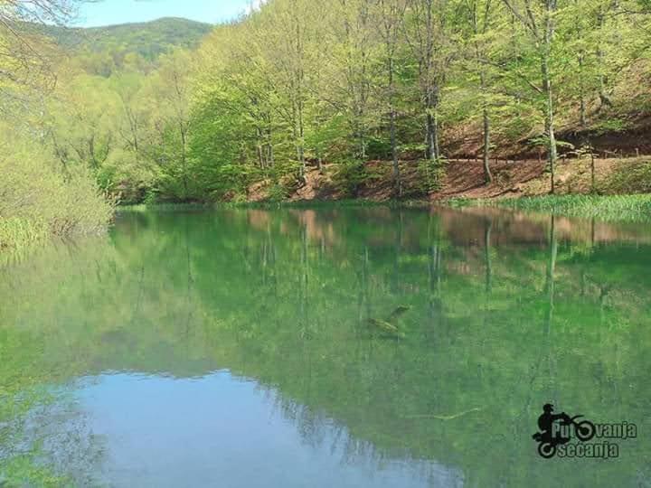 Apartmani Grza Paraćin 外观 照片