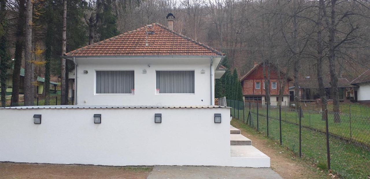 Apartmani Grza Paraćin 外观 照片