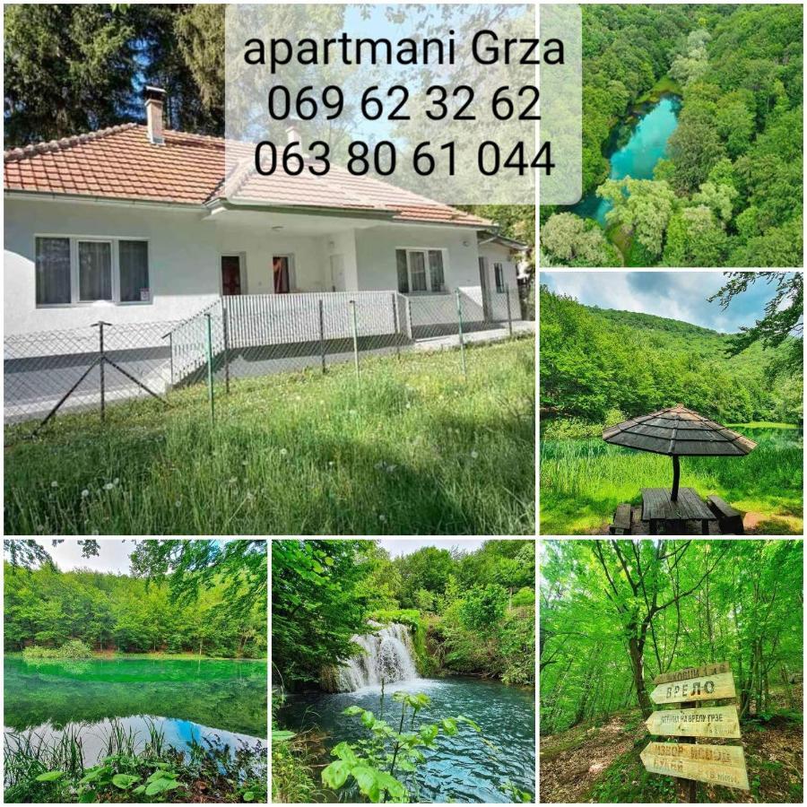 Apartmani Grza Paraćin 外观 照片