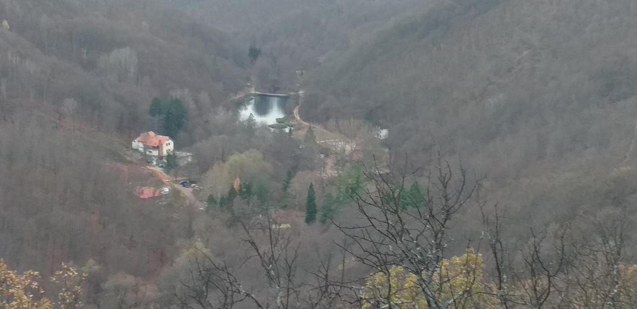 Apartmani Grza Paraćin 外观 照片