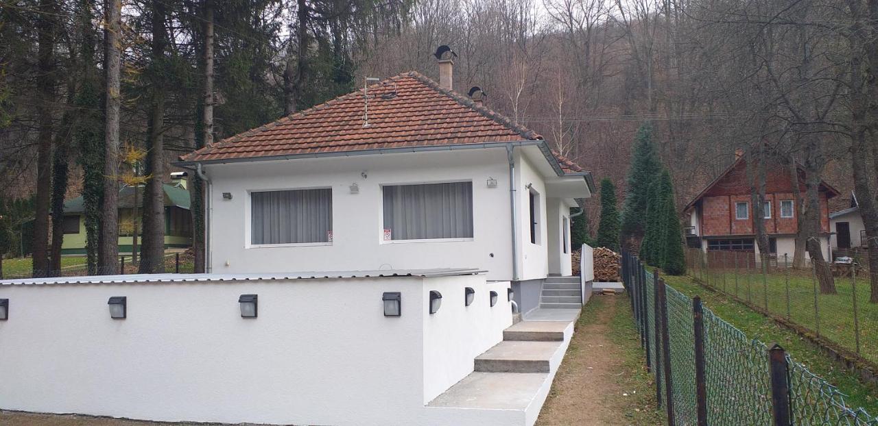 Apartmani Grza Paraćin 外观 照片