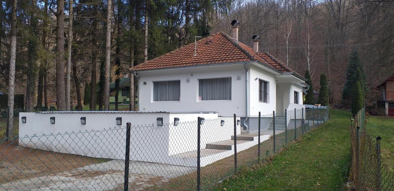 Apartmani Grza Paraćin 外观 照片