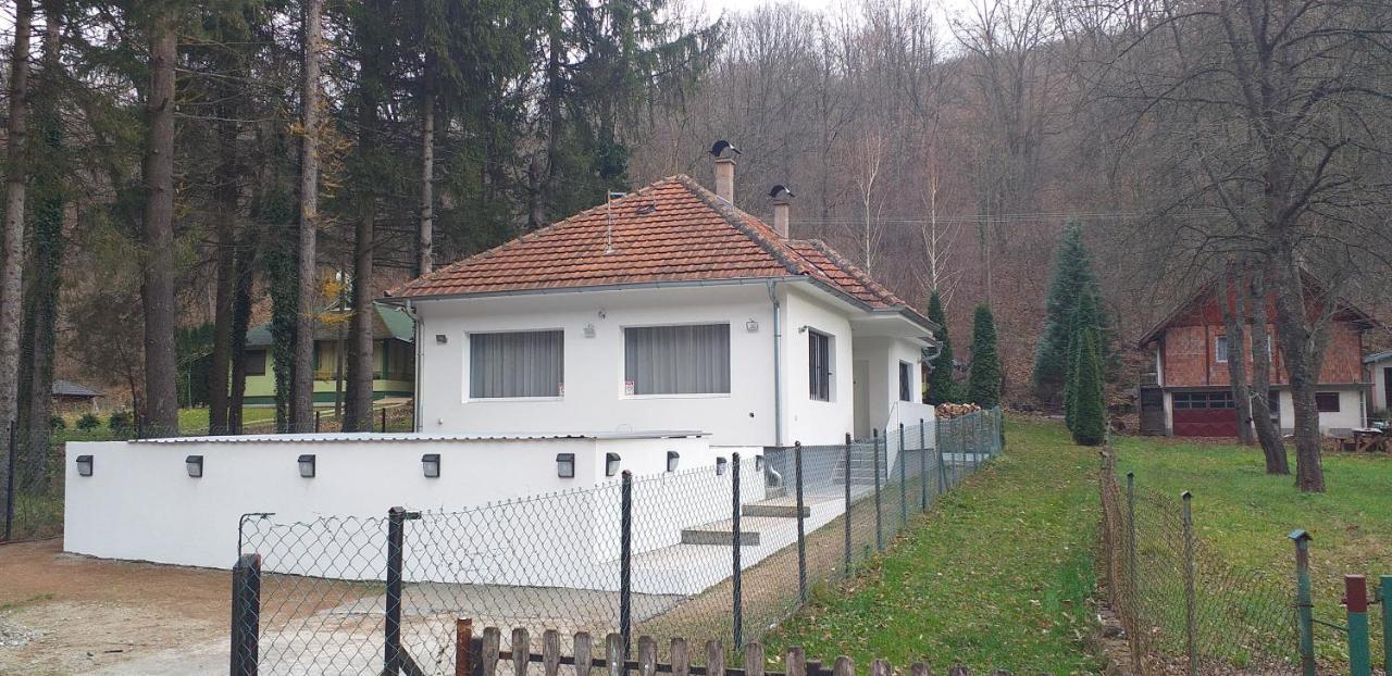 Apartmani Grza Paraćin 外观 照片